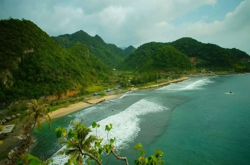 Indonesian Mountain that Remains Vulnerable to Cultivation of a Special Plant