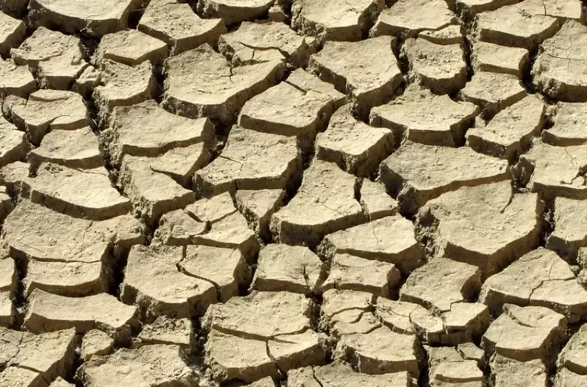 During COVID-19, ESCAP urges ASEAN countries to follow constructive drought-fighting policies