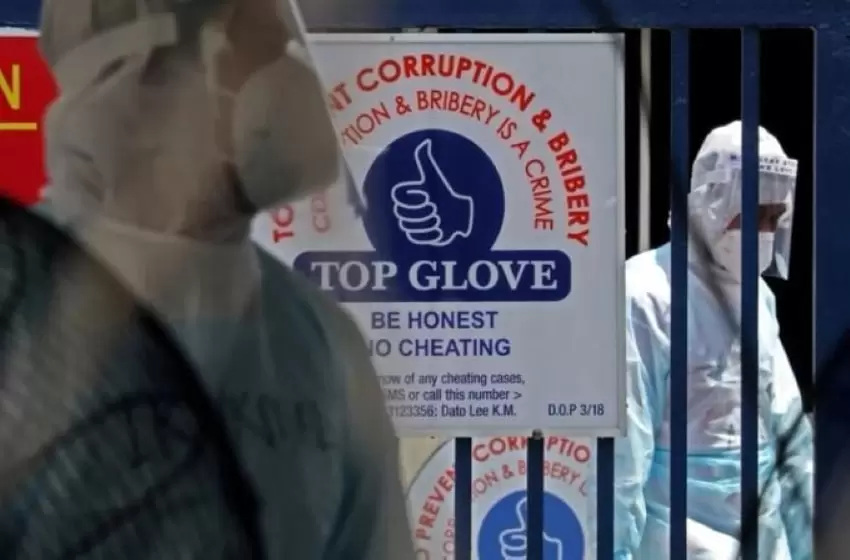 TopGlove