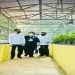 seedlingcenter