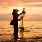 Fisheries