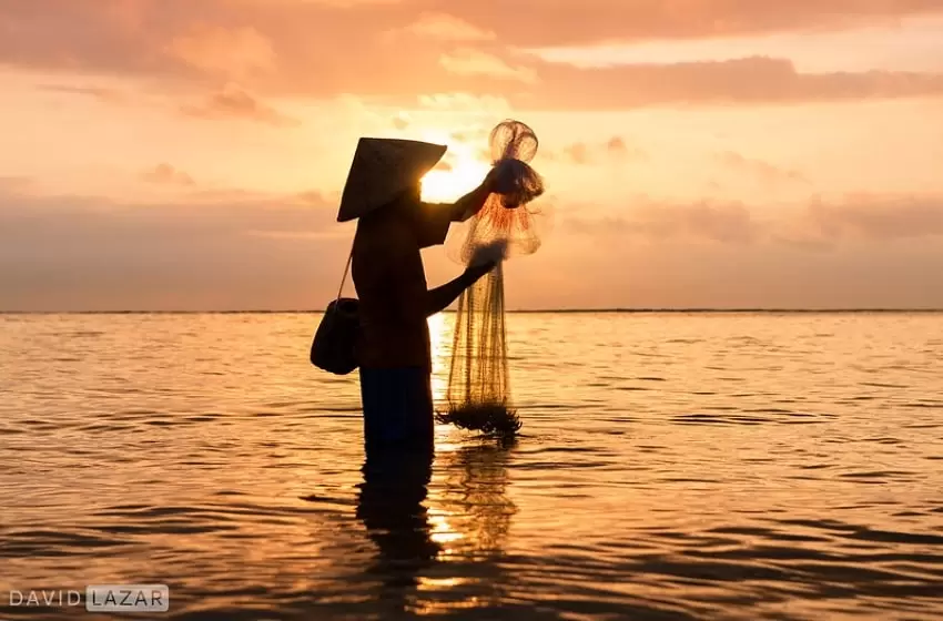 Fisheries