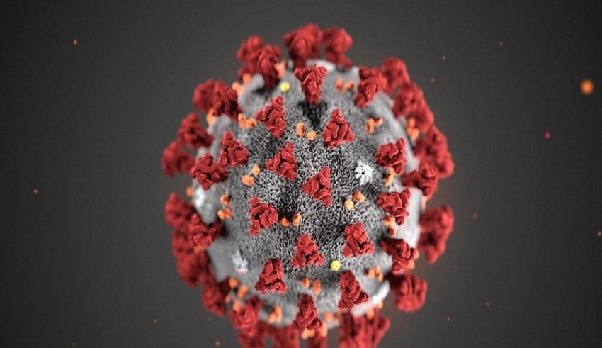 coronavirus