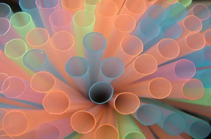 A Plastic Pandemic No More Through Strict Prohibition