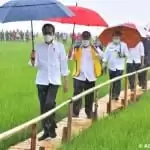 CentralSumba