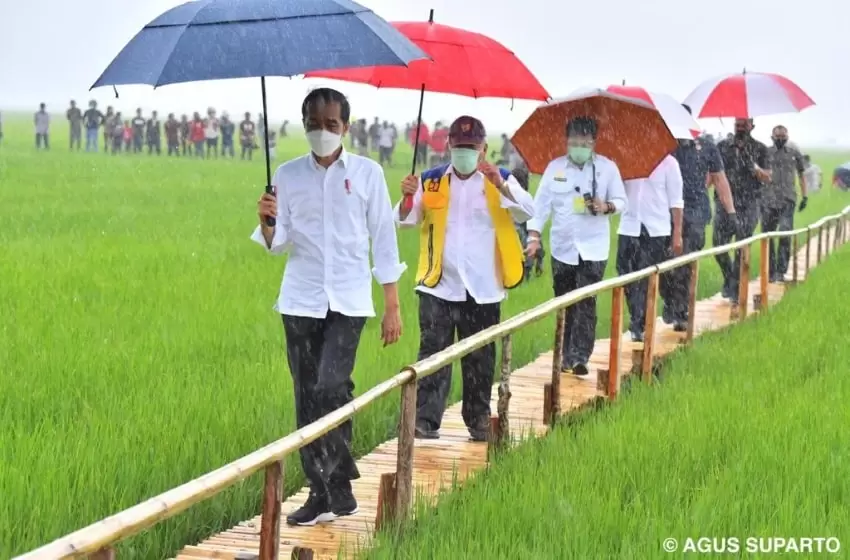 Jokowi is Determined to Combat Poverty Through Food Estate