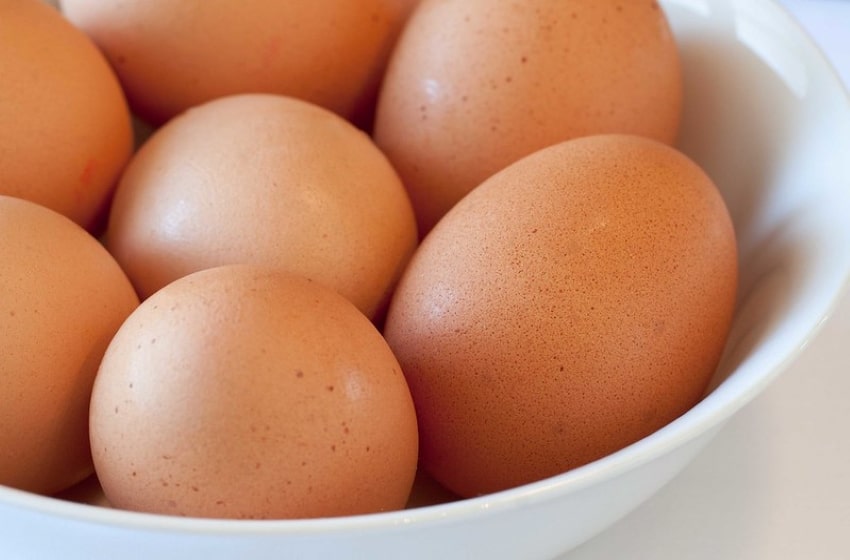 Following a Singapore recall due to Salmonella bacteria, Malaysia is inspecting an egg farm in Selangor.