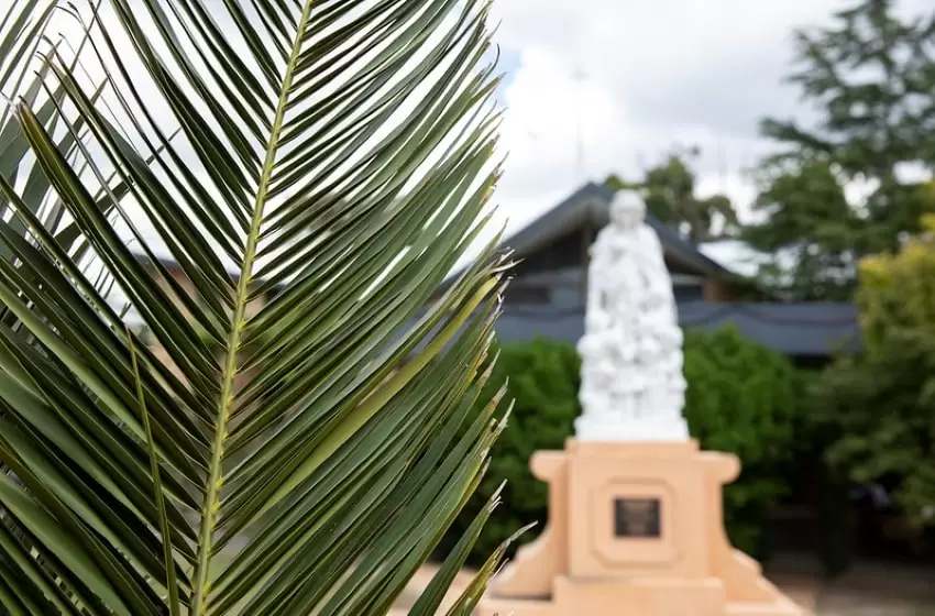 Palm Sunday