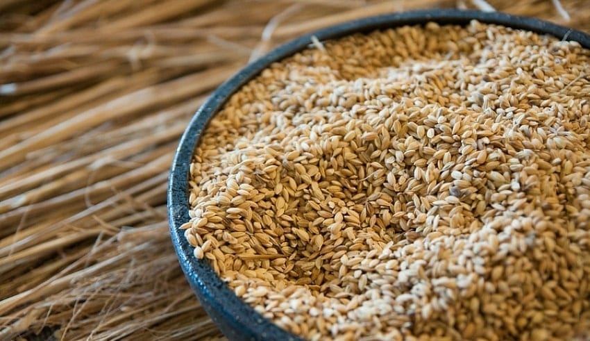 rice