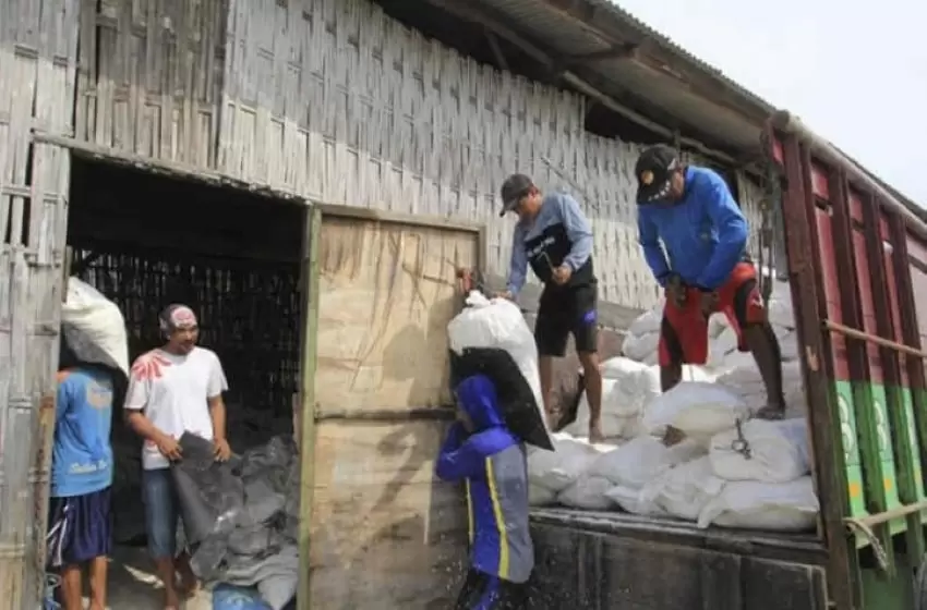 Importation of Soil and Its Significance in Indonesia