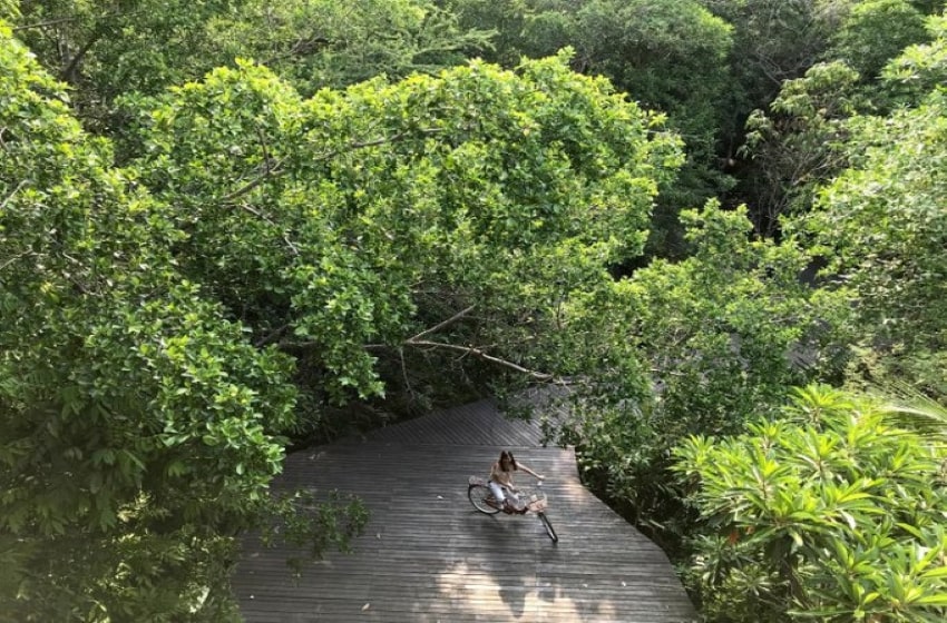 The City’s Lungs is Getting Attention for Tourism