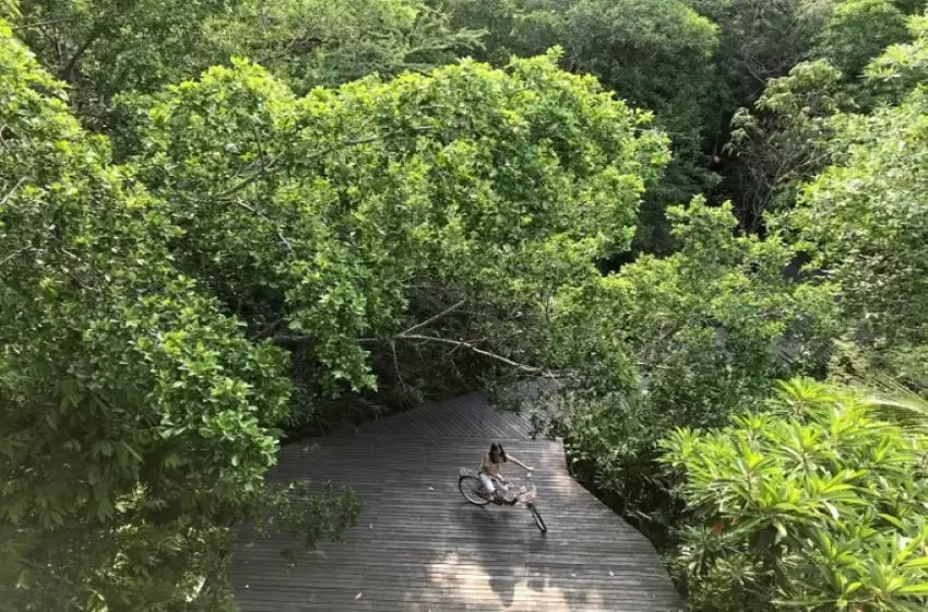 The City’s Lungs is Getting Attention for Tourism
