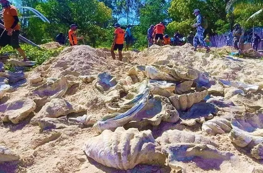 The Rich Biodiversity of Philippines is Unimaginable Through this Giant Clams