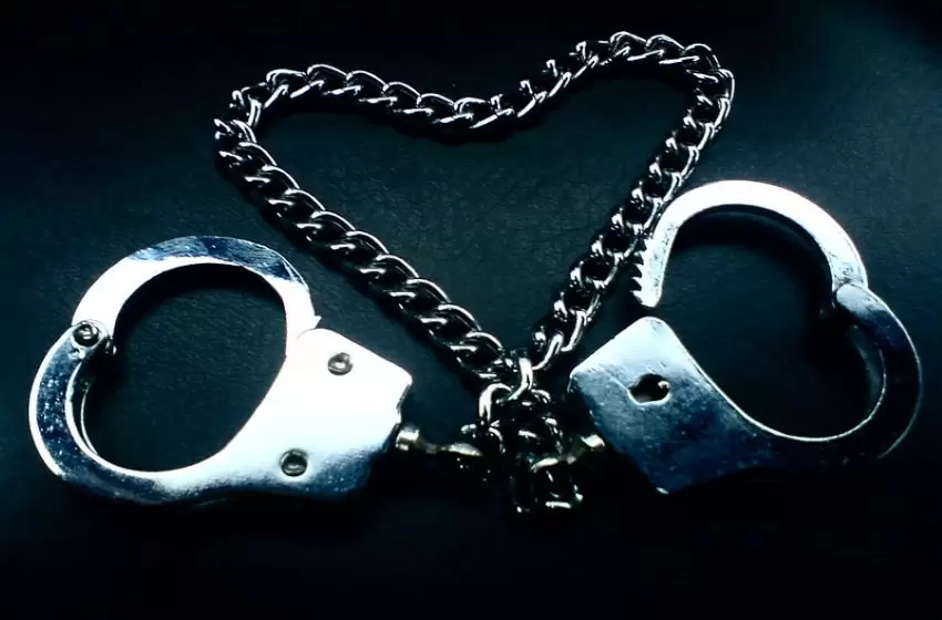 Female security guard imprisoned for car theft