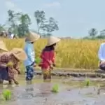 Jokowi