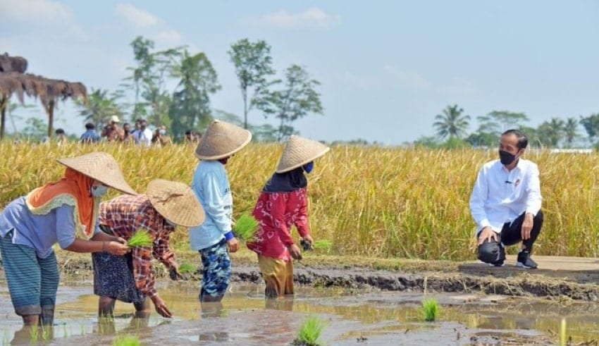 Jokowi