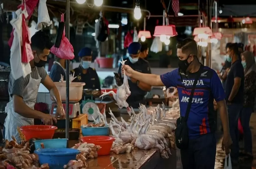 Increasing cost of chicken feed, a major cause for chicken price hike