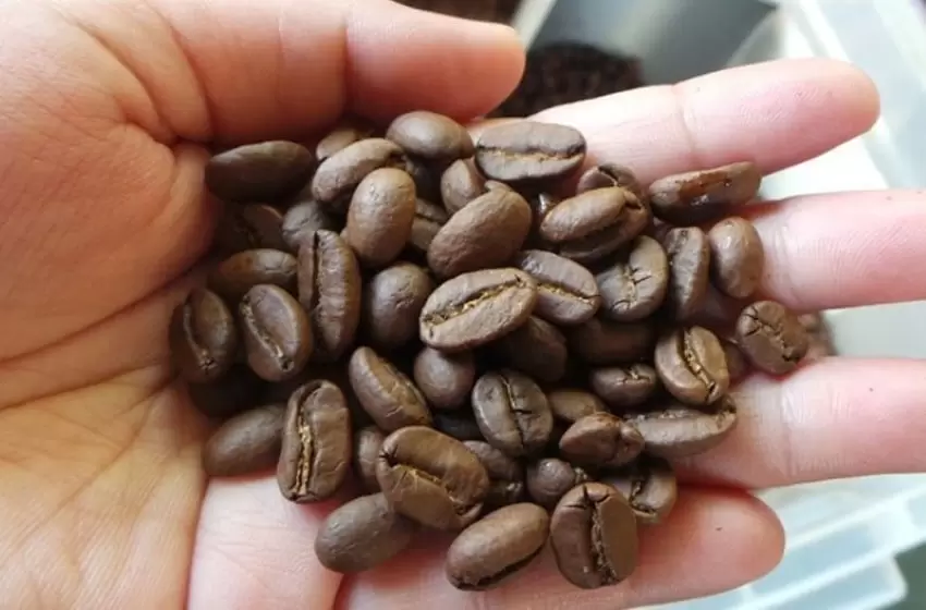 coffee