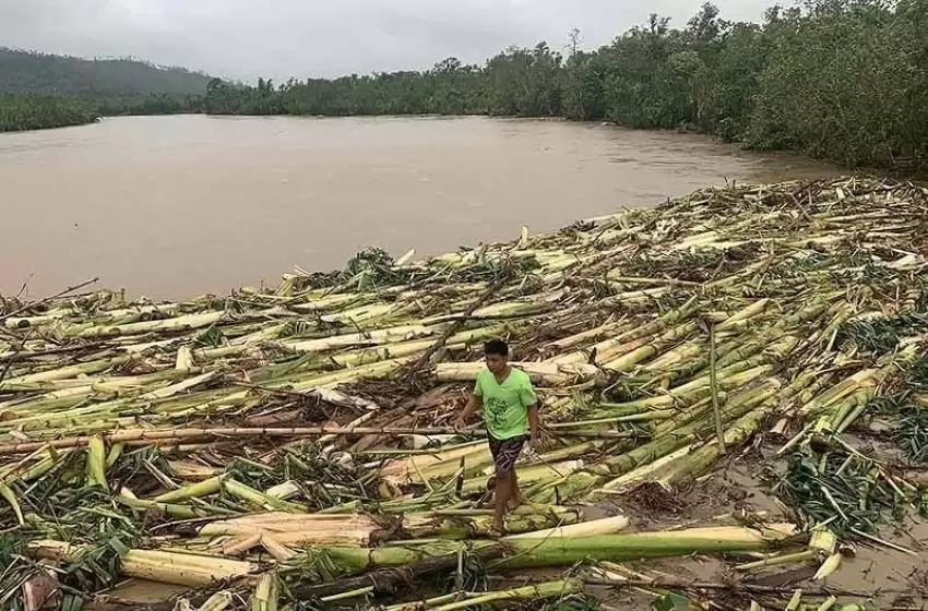 A Green House Gas Reduction Goal for Philippines is an Immense Challenge