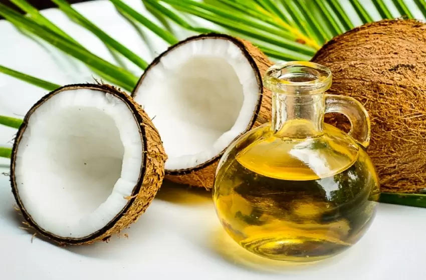 The Anti-Viral Potential of Coconut Oil is Promising