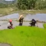 Philippines