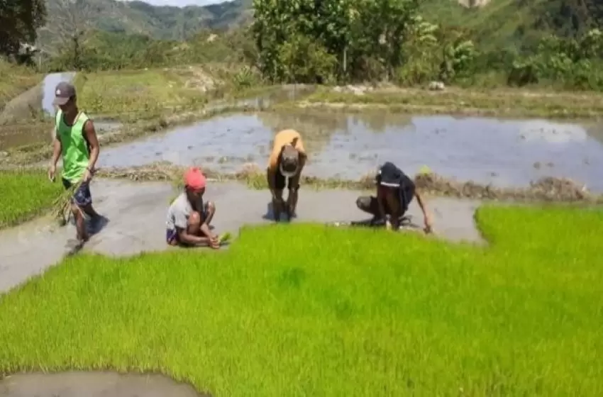 Strategic Plan is Needed for the Agriculture in the Philippines