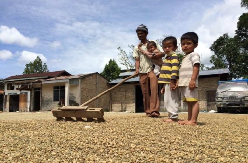 The Relentless Impact of Coffee to Indonesia Strengthens