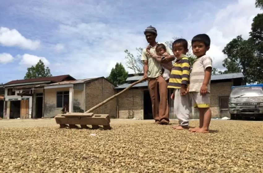 The Relentless Impact of Coffee to Indonesia Strengthens