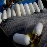 tin