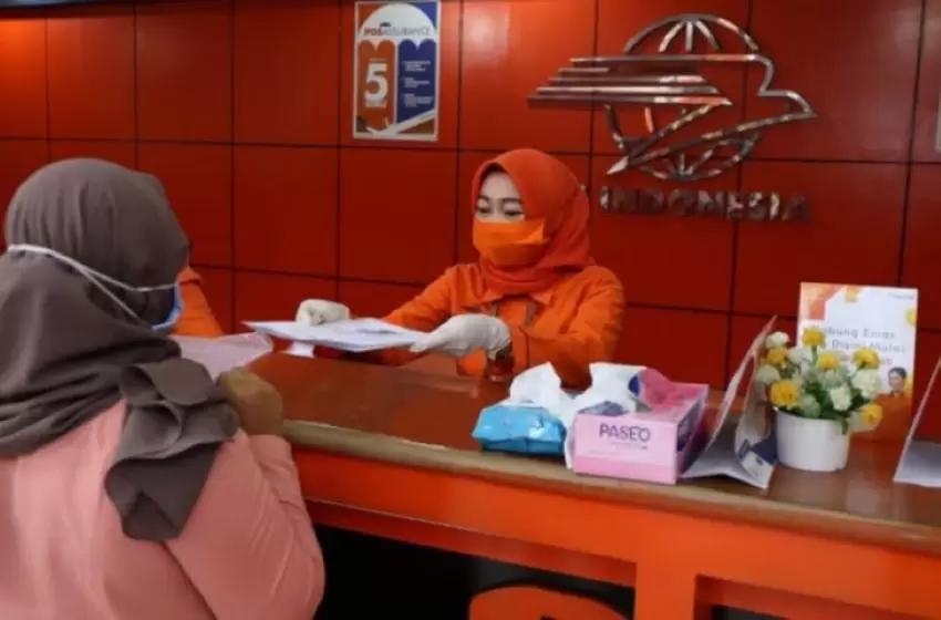 SocialCashTransfer