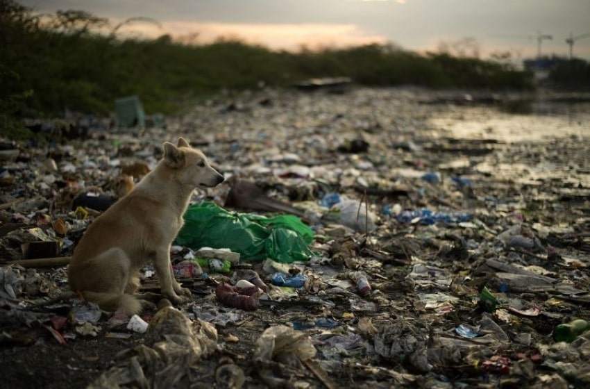A Call For A Change in Utilization of Plastics