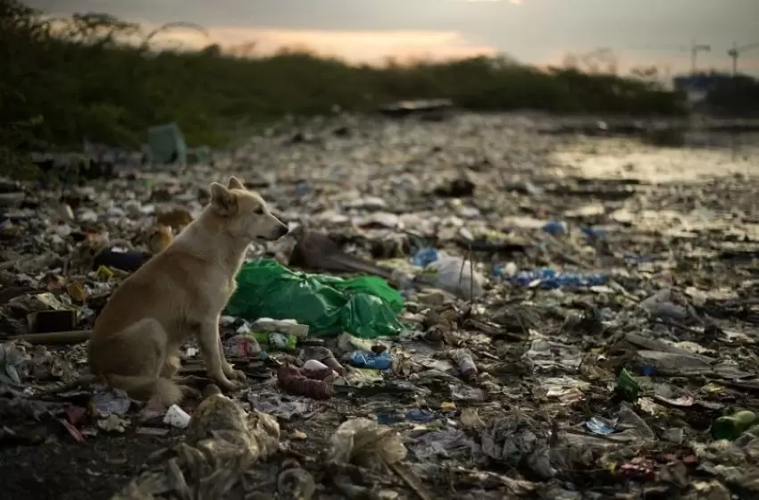 A Call For A Change in Utilization of Plastics