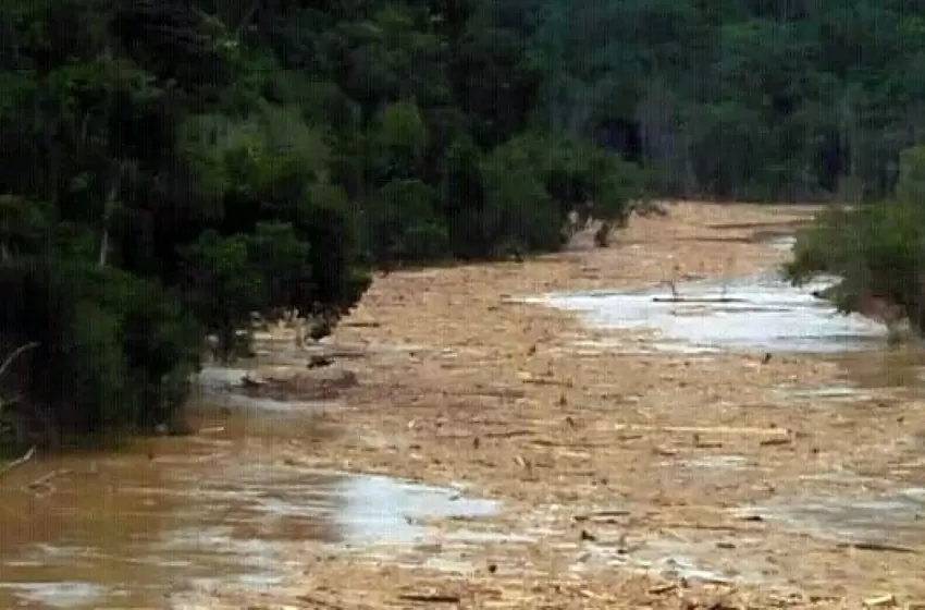 WWF-Malaysia wants to hold accountable those responsible for logjam