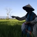 WorldFoodDay