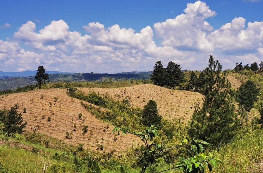 A Call For Masungi Georeserve Protection