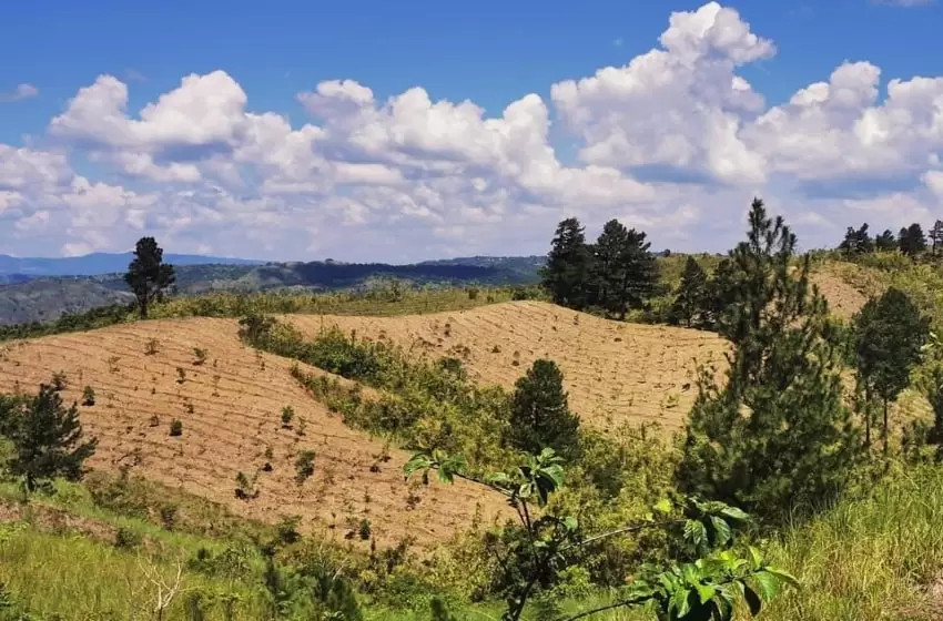 A Call For Masungi Georeserve Protection