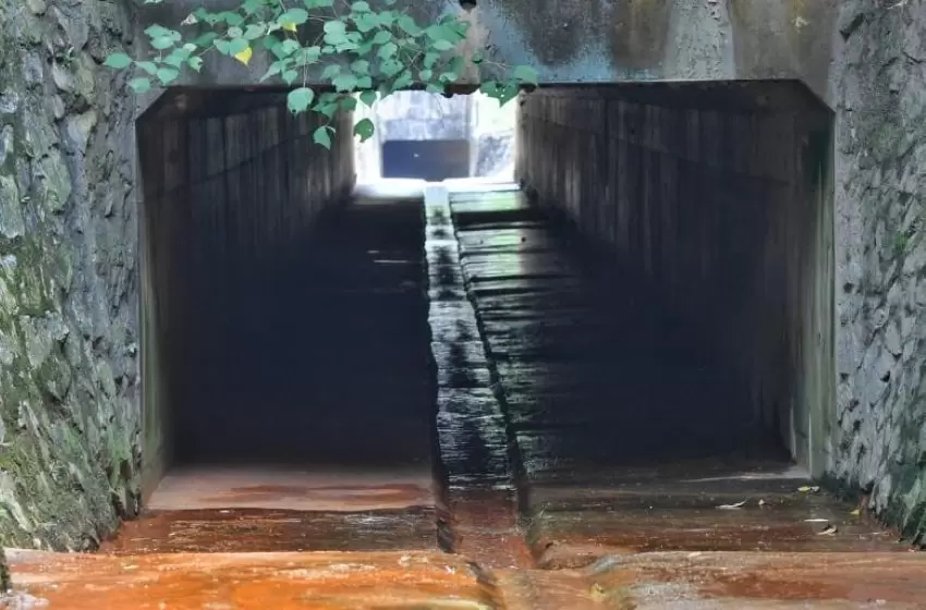 Singaporeans mourn along the Greenridge Crescent canal at the loss of two 11-year-old boys
