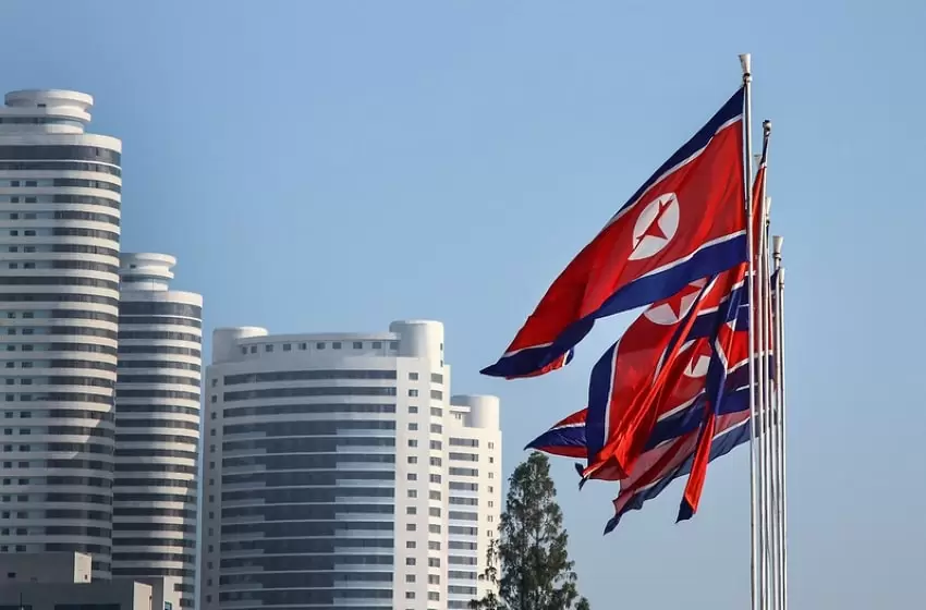 Gardeners in North Korea are sent to labor camps for failing to grow particular flowers