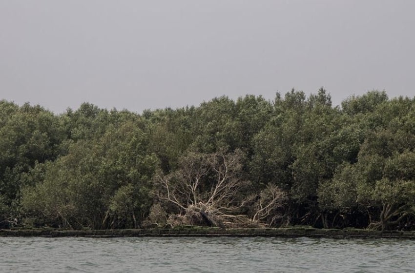 Environmental