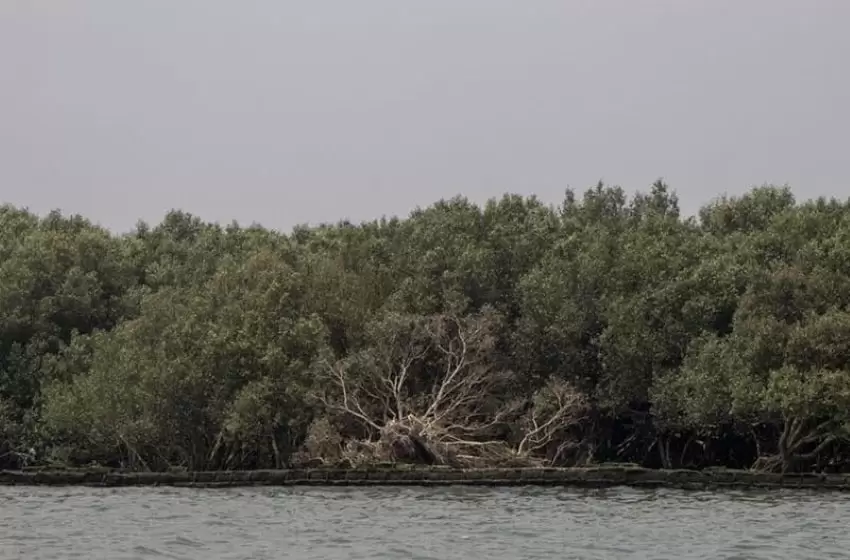 Environmental
