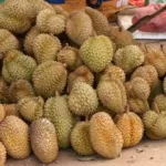 Durian
