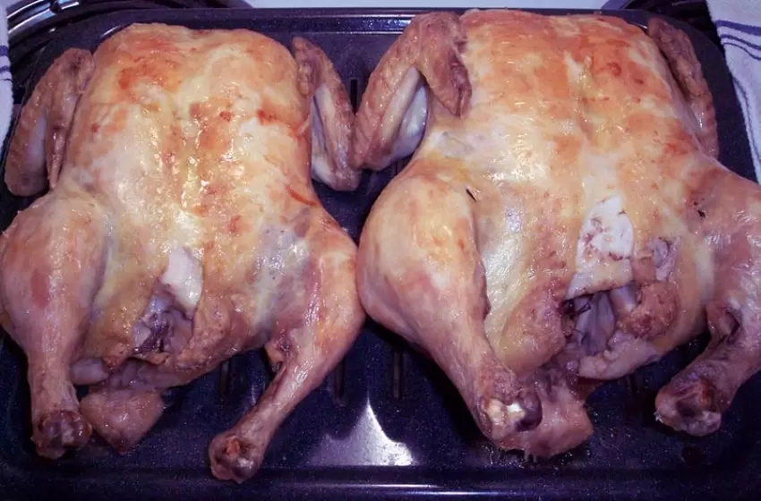 chicken