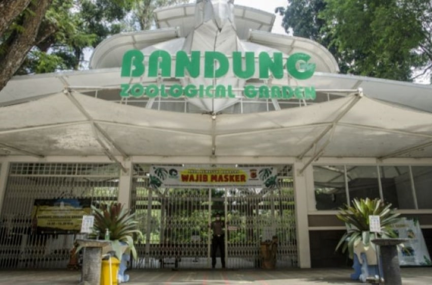 Bandung Zoo | It’s Time To Visit | Eid Holiday