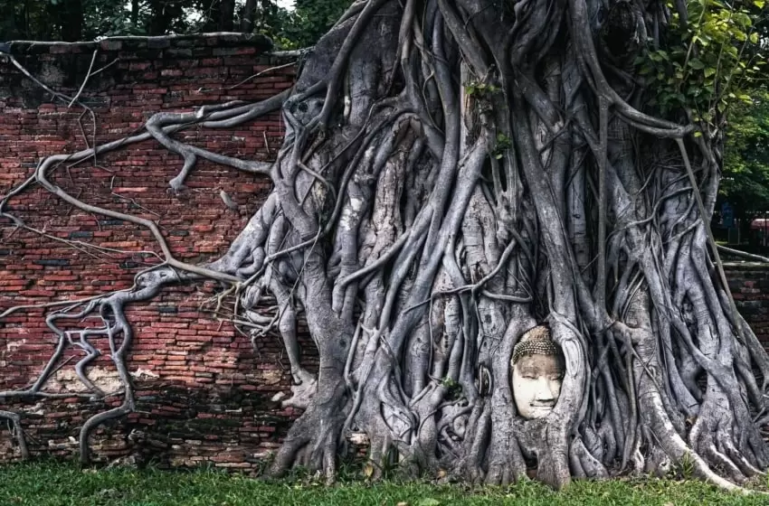 Thailand’s Ayutthaya’s World Class Appreciation