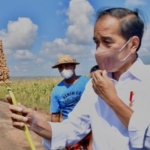 JokoWidodo