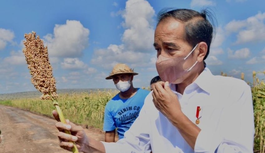 JokoWidodo