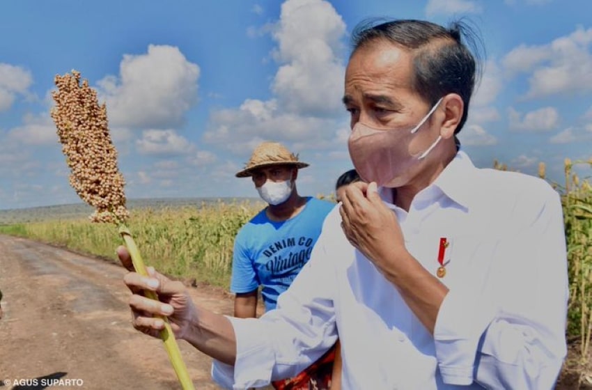 Pancasila Day Was Filled With Honor and Greetings From Jokowi and The First Lady