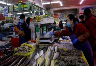 Fish prices in Singapore are rising