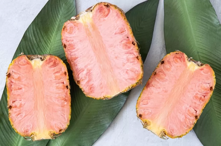 What’s Special About the Pink Pineapple and Why is it Illegal