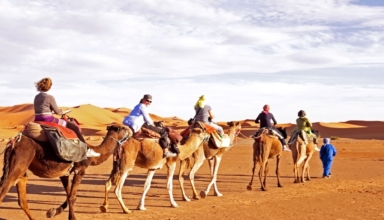A change in the game: Dubai’s first camel riding school is women-led